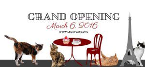 Le Cat Cafe